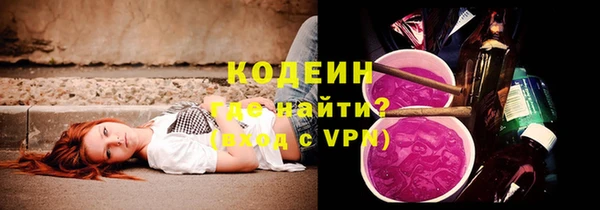 гашик Мегион