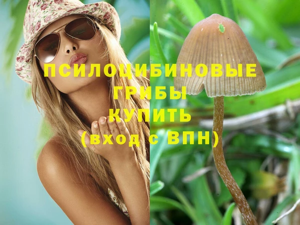 ALPHA PVP Армянск