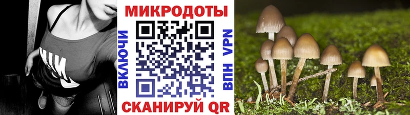 Галлюциногенные грибы Cubensis  Курган 